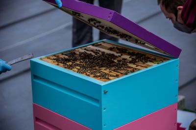 Baseny zarządzane przez Katowickie Wodociągi sta